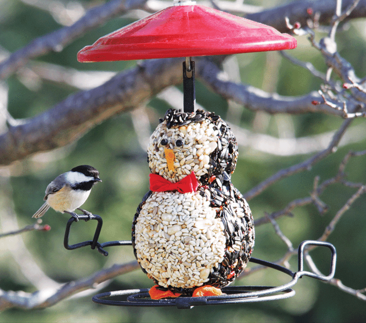  Bob Gors, of Wild Birds Unlimited Macomb, will make a presentation about helping birds survive Michigan winters  at a Shelby Gardeners Club event Nov. 9. A black-capped chickadee prepares to take a seed from the Preston the Penguin bird feeder. 