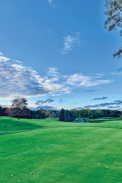  The city of Rochester HIlls has purchased a 7-acre parcel of land next to Pine Trace Golf Club for a possible future expansion of the course. 