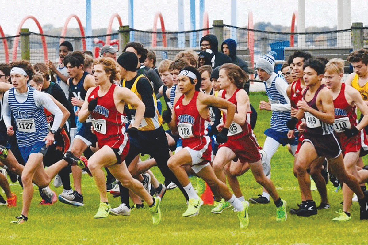  Warren Cousino runners take off during the start of the Macomb Area Conference championship on Oct. 21 at Lake St. Clair Metropark. 