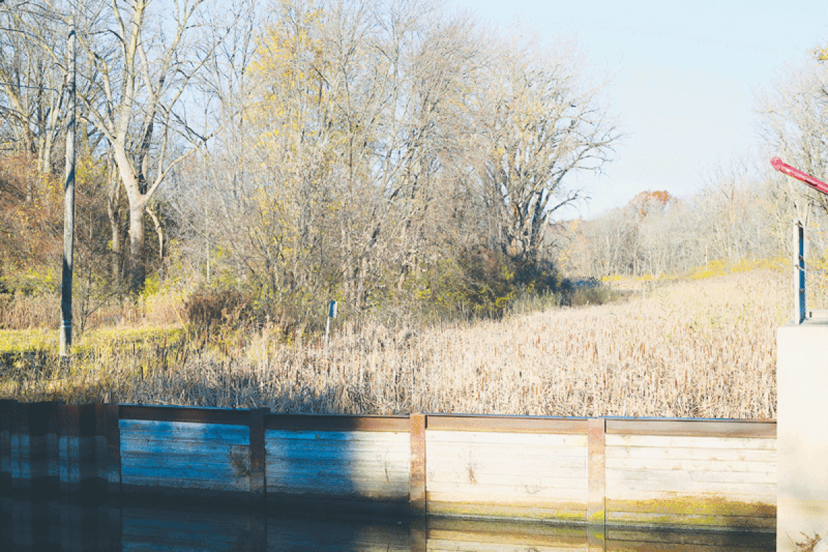  The Vanter De Beuff Drain runs through a 155-acre wetland in Harrison Township. The Harrison Township Board of Trustees is trying to get a grant from the state to develop stormwater capacity enhancements, improvements to the drain and pump stations, recreational programming and nonmotorized trails in the area.  