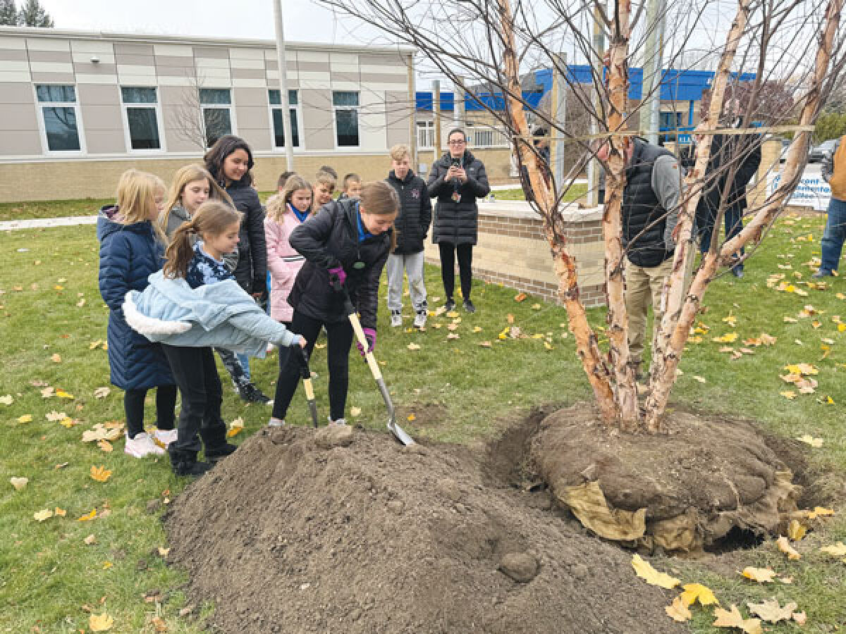  Ardmore Elementary School students take turns shoveling dirt onto a tree planted in the ground. 