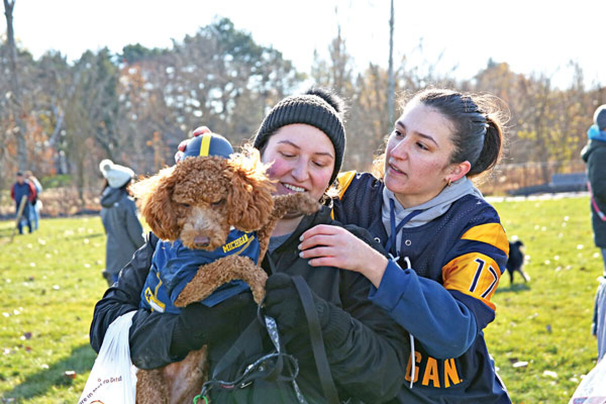  Rose, center, and Isabella Licavoli try putting a helmet on dog Gus, the winner of the best dressed contest at the opening of Macomb Township’s Pitchford Park dog park. 