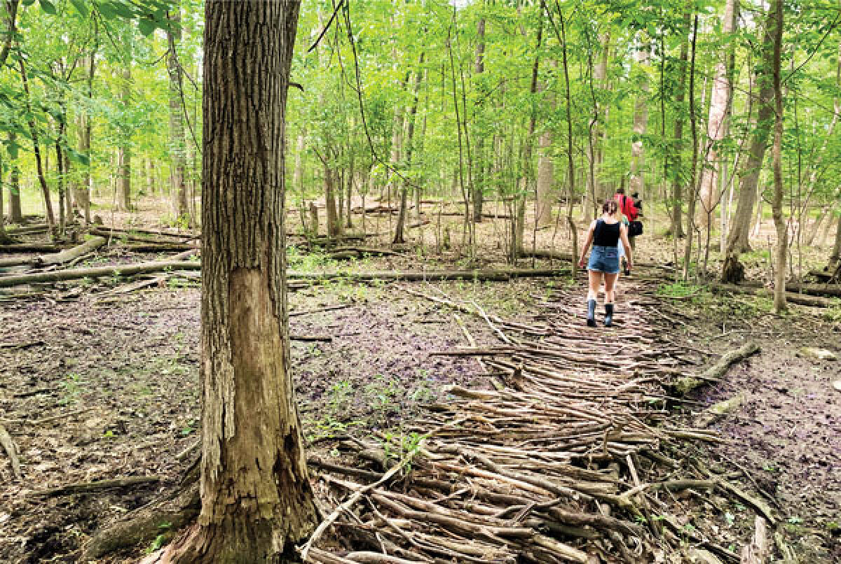  Plans have been delayed to convert the 70-acre Turtle Woods property in Troy into a protected park after the state rejected a grant proposal. 