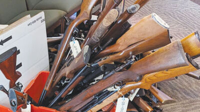  Gun buyback participants assured weapons will be destroyed, not recycled or resold 