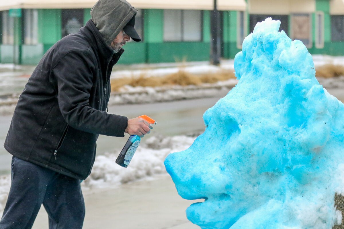  Edward Stross, of Gonzo Art Studios in Roseville, created a lion out of snow and blue food coloring in tribute to the Detroit Lions. 