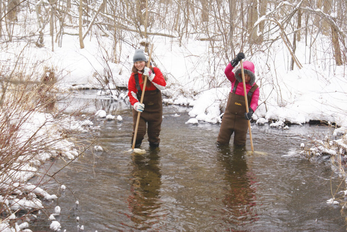  Volunteers search for stoneflies in the Clinton River during a past stonefly search. 