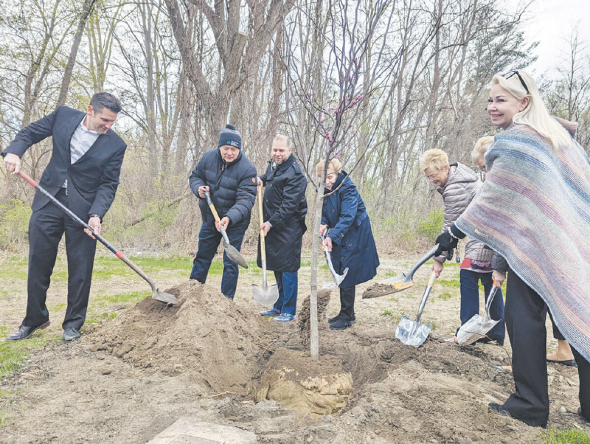  Sterling Heights City Council members plant a tree in 2023. During a Jan. 30, 2024, strategic planning meeting, officials heard and discussed a proposal to enlarge the city’s tree canopy and add 15,000 trees to residential rights of way. 