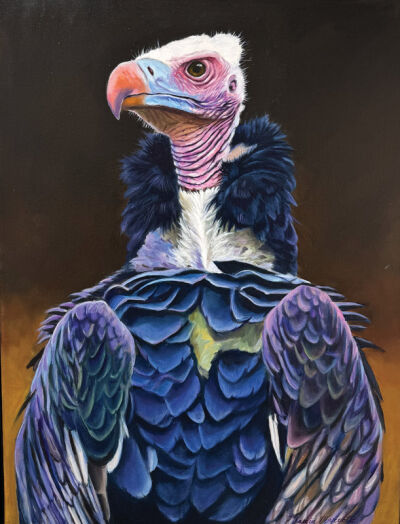  Maria Marcotte’s “Portrait of a Vulture.”  