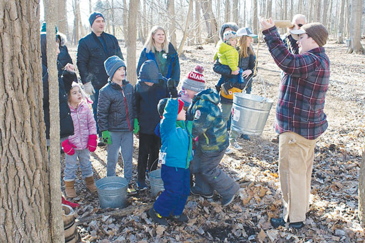  Attendees at the Stage Nature Center can see how sap is turned into maple syrup as part of the center’s Maple Syrup Time tours this March. 