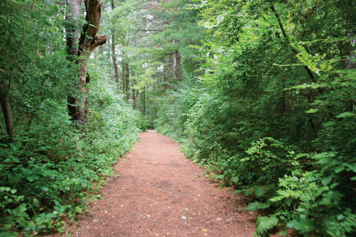  The Johnson Nature Center is hosting its first Trail Rally on Saturday, Aug. 27. 