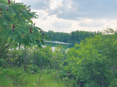  The wooded former Grosse Pointes-Clinton Refuse Disposal incinerator property in Clinton Township — seen here in 2019 — was the site of a Detroit police search March 6 after the department got a tip about a missing Detroit teenager. 
