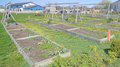  St. Clair Shores Community Garden values inclusion 