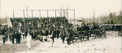  The castle was built not as a home but as a working model dairy farm and a place to showcase the latest advances in farm equipment. Pictured here is cow  auction held on the grounds. 