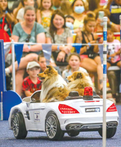  Two Rock N Roll K9’s arrive in a police car for their show at the Michigan State Fair in 2021. The Rock N Roll K9’s Performance Team will be back at the fair this year.  