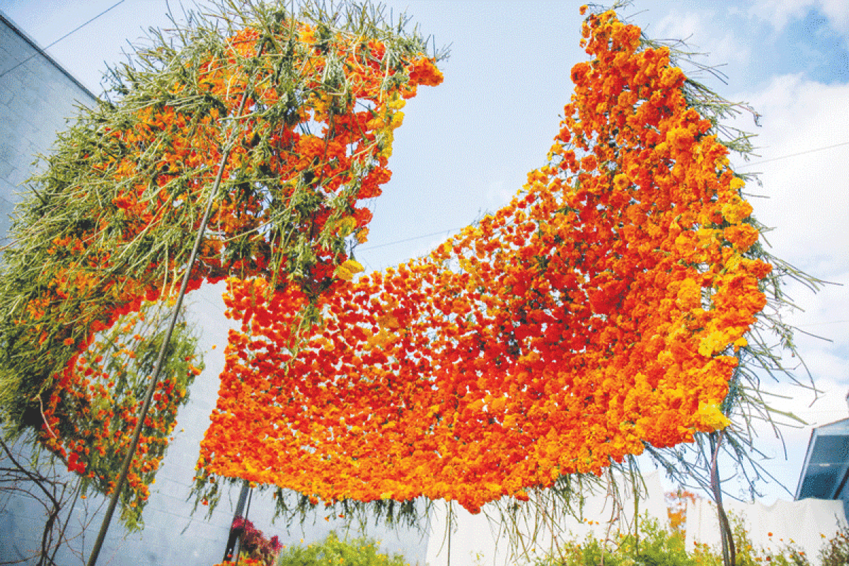  An immersive public art installation featuring thousands of marigold blooms occupied a lot next to Richard Gage Design Studio on Nine Mile Road in Hazel Park in October 2020. This year’s exhibit will open the weekend of Oct. 15. Seeds are available for volunteers to grow flowers for it. 
