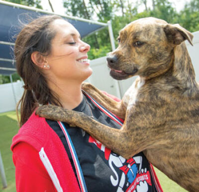  Veterinarians are urging dog owners to ensure that their pets are vaccinated against parvovirus after several reported dog deaths, due to the disease, occurred in northern Michigan. 