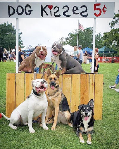  A group of dogs poses at the dog kissing booth during the Royal Oak Chamber of Commerce’s Barktoberfest event at Memorial Park last year. This year, the event will take place Sept. 10-11. 