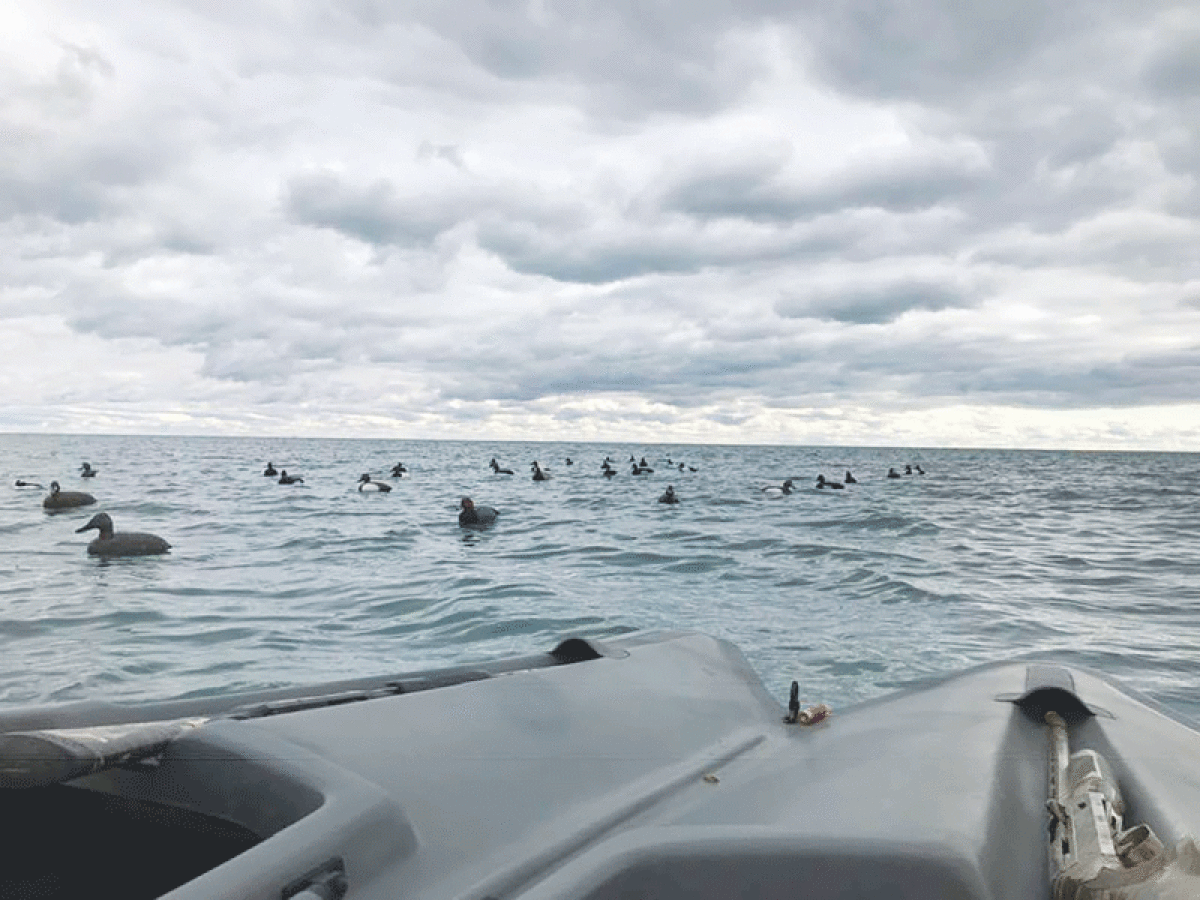  A hunter’s point of view shows the decoys laid out in the water as they attempt to attract a flock of ducks. 