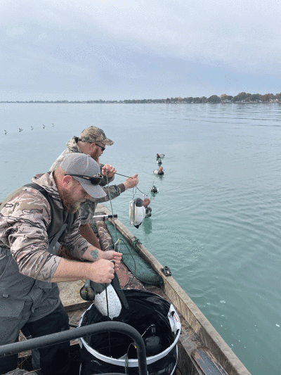  Two hunters prepare their decoys  on the line, in preparation for the day. 
