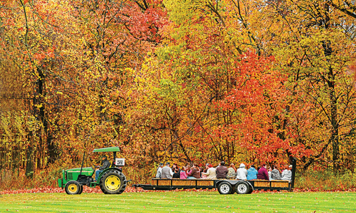  A hayride passes by fall colors at a past Sterling Frights Halloween event. 