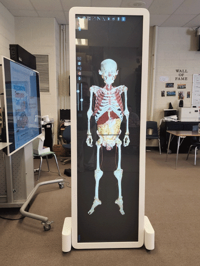   The Anatomage Table is a human 3D anatomy system that allows for students to explore the human anatomy. The 3D table is used in medical schools and is an alternative to using cadavers for educational purposes.  