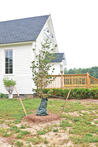  Trees and bushes are part of the landscaping volunteers are planting as part of the Old Township Hall’s heritage garden. 