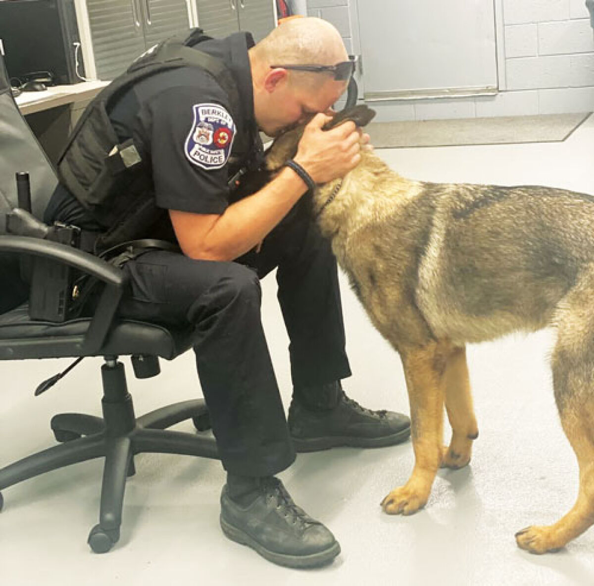  The Berkley Public Safety Department will be without a K-9 unit for the time being, as it first will look to fill out the remainder of its staff before selecting a new handler. 