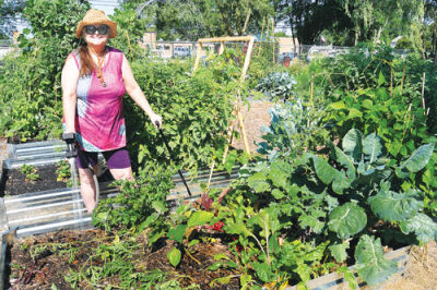  Shawn Dodd waters her vegetable patch at the garden.  