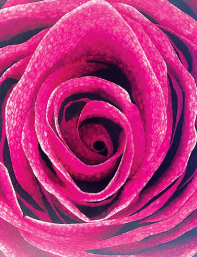 Keven Bahoora’s “Red Rose” was made out of real rose petals.