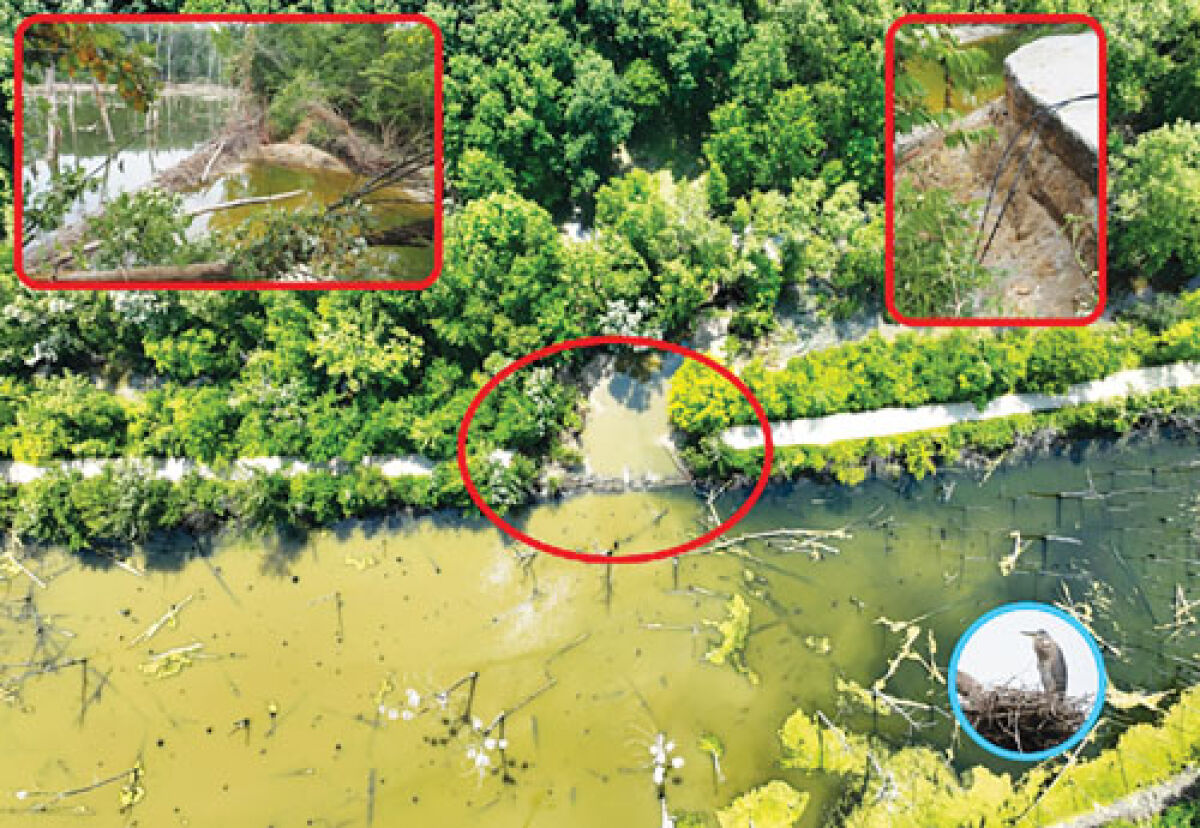  The Clinton River Trail is closed between Rochester Junction and 24 Mile Road in the city of Rochester through 2025 due to a washout that caused major damage to the trail.  The City of Rochester, Oakland County, Friends of the Clinton River Trail, and several other entities are working on repairs.   