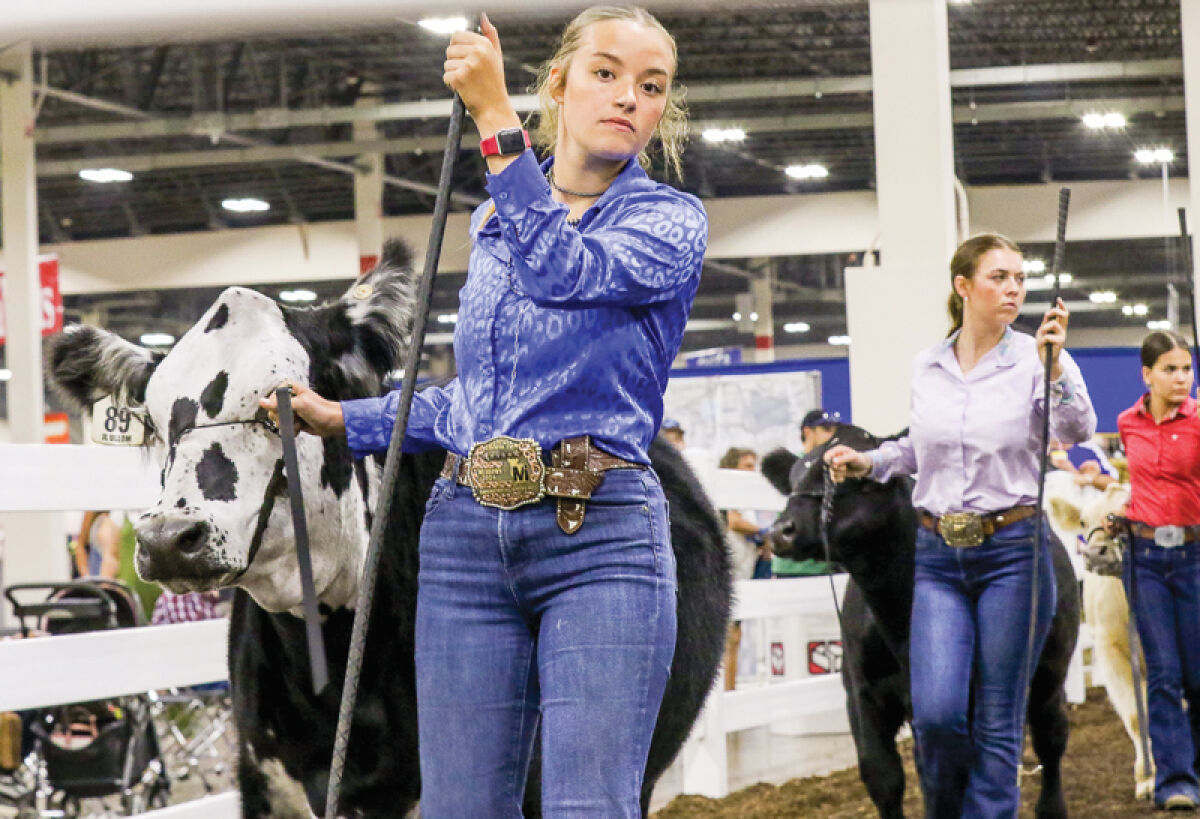  Participants in the Youth Beef Showmanship contest take to the large arena in the livestock area at the Michigan State Fair at the Suburban Collection Showplace last year. Agricultural and livestock displays will again be a big part of the fair this year Aug. 28 to Sept. 1 in Novi. 