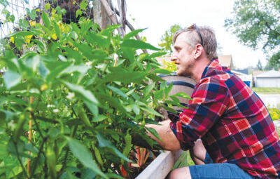   Jeff Matheus, a board member for Urban Seed, tends to a bed of vegetable plants at the new south Warren community garden Aug. 27. 