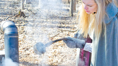  Council approves sugar and storage shed for nature center 