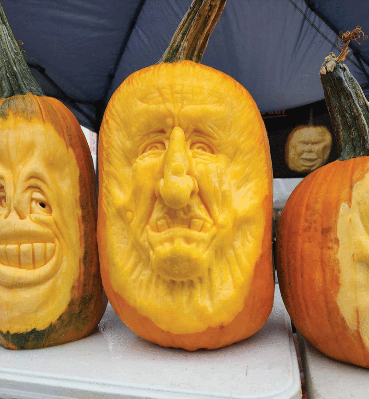  John Angevine has been pumpkin sculpting for about 30 years. There are no perfect ways to preserve carved and sculpted pumpkins, but there are some ways to make them last longer.  