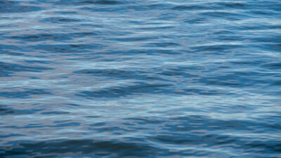  Boat explosion ejects 2 occupants, kills dog 