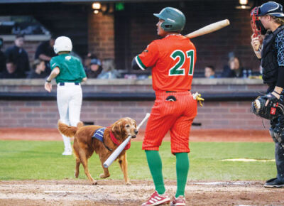  JJ the Field General collects a bat during play. 