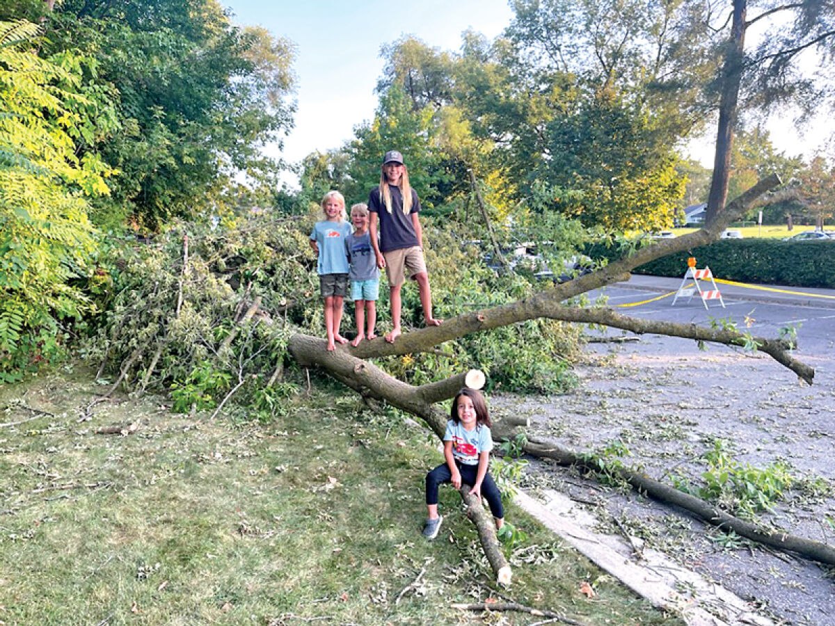  The Miles brothers — Andrew, 9, Easton, 6, and Trek, 11, of Novi — pose for a picture with their friend and neighbor Niko Gavriles, 3. 