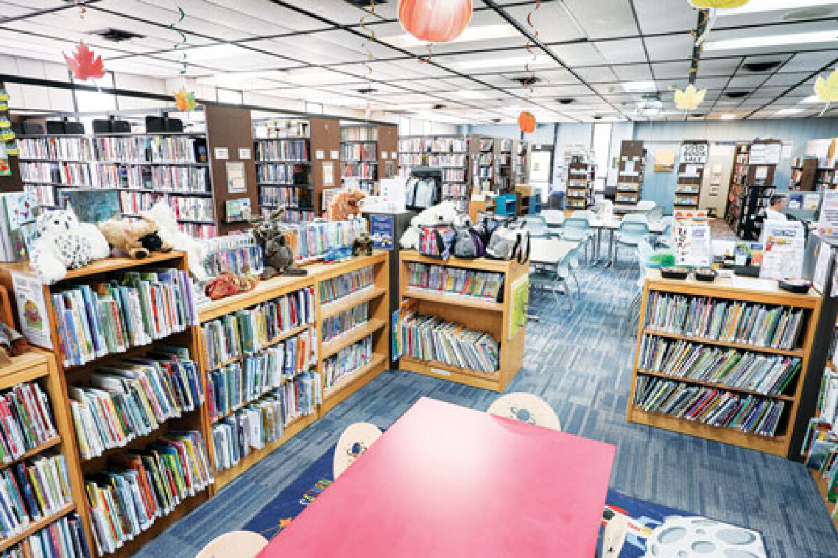  The Harrison Township Public Library, located on Lanse Creuse Street, is going to go through renovations, though officials are still in the planning stages. 
