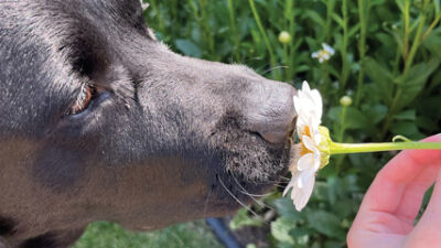  Last-minute entry wins summer photo contest 