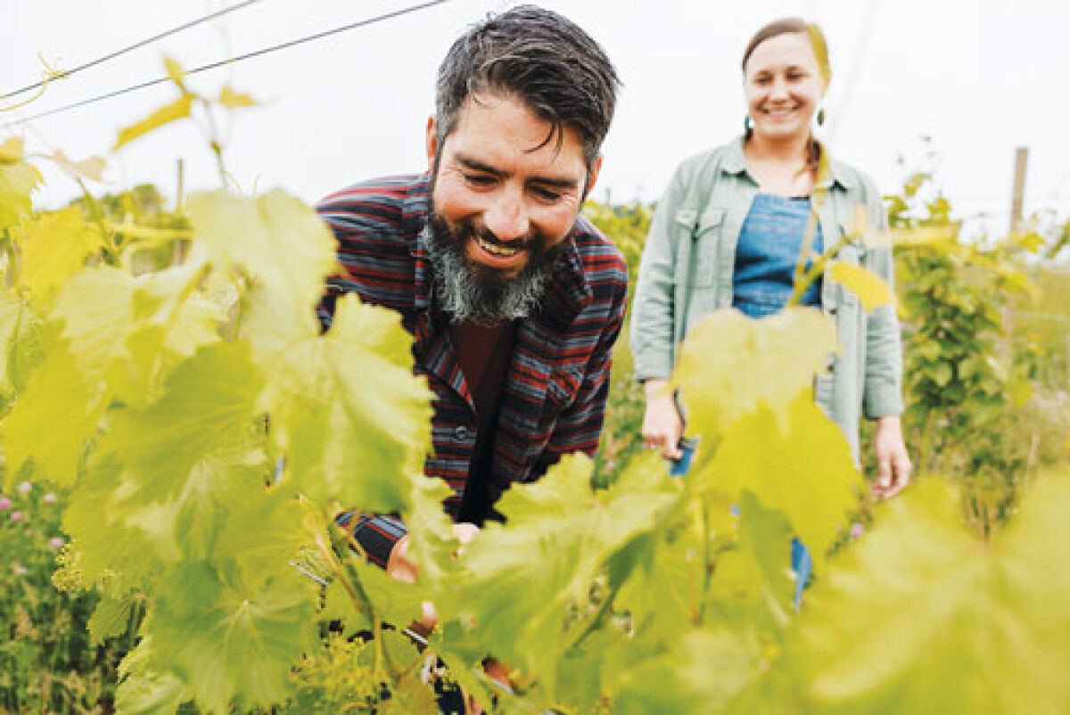  The husband-and-wife team of Derrick Vogel and Izabela Babinska run Folklor Wine & Cider, located south of Charlevoix.  