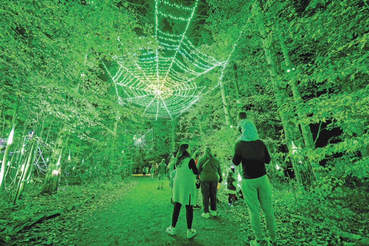  A segment of the trail is illuminated green with spiders, after someone used their wand and cast a spell to choose the color and the creature Sept. 28. 