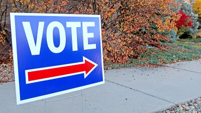  Voters to elect council members, decide on proposals 