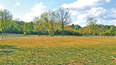  Southfield to open first dog park for city’s pups 