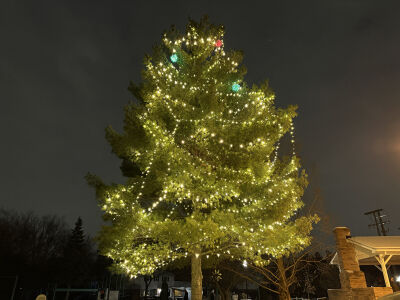  The Christmas tree shines brightly at the Lathrup Village Winter Festival and Tree Lighting on Dec. 5 