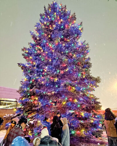 The Clawson Christmas tree lights up Dec. 3.
