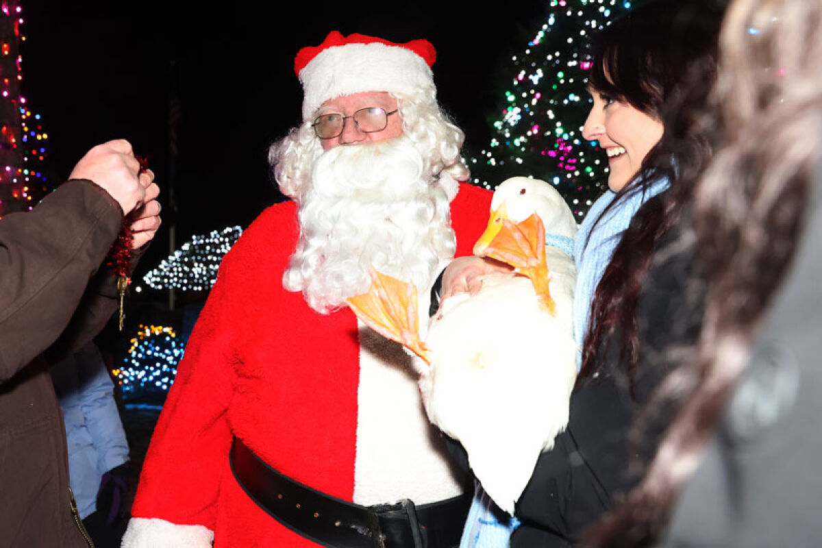 Fern’s wish to “Chewy Claus” was to light up her town. She is pictured here with her owner Aspen DeMonaco and Santa Claus. 