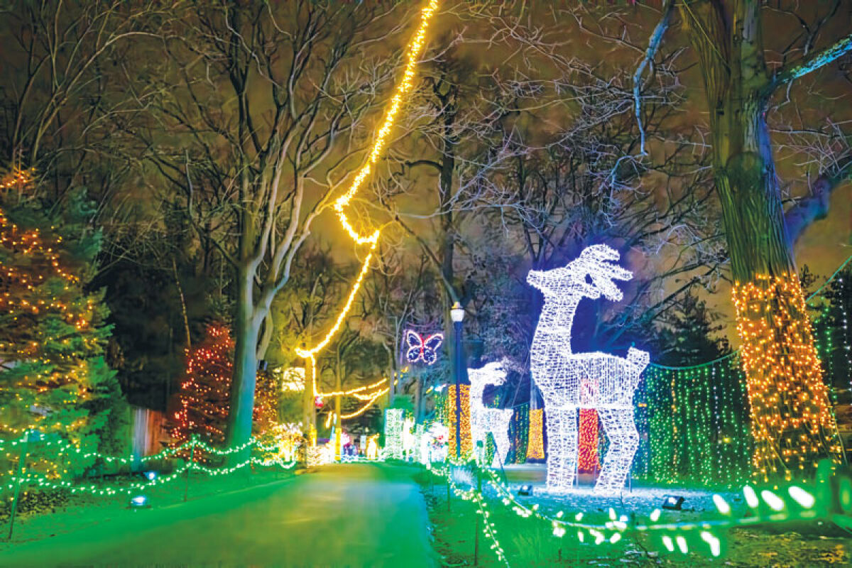  The trail is lit up by the various light sculptures at the Detroit Zoo. 