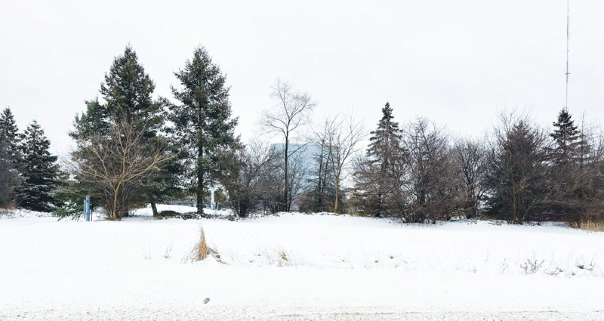  The Southfield City Council on Dec. 15 approved a data center site plan for vacant land along Inkster Road near Interstate 696. 